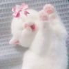 arwa.elsayed01
