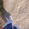 traaneverseenn