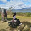 deyah.guil