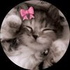 anis_bbzz