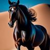 ali_aliraqi1144