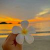 user5233091250182
