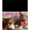 dina.herlina76