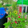 eshqzadii134