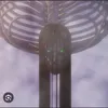 ami1009764