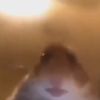 lilobaggins64