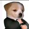 duclongg_209
