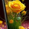 lakshmi.subba3