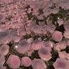 세 메세지 2개