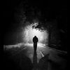 tarek_sayed5