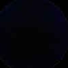alone.605