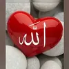 user5296069868467
