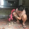 01cuocsonghanquoc