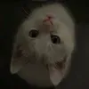tigrary_07