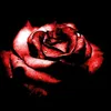 liu.4.34.244.p.m.p