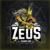 zeus.shop79