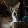 juniperandjupiterr