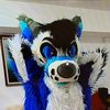 That 360 Furry
