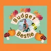 budgetbestie29