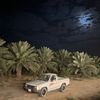 abo.ibrahim.502