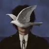 .gnaw._