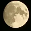 ramanraman7491