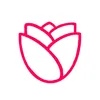 thekitchenrose