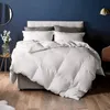 Trendy spot uk