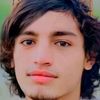 abdulhadi.elham8