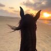 mohamedbk027
