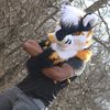 donzthetiger