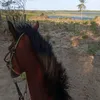 ivyna.oliveira6