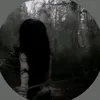 norakasrawiya