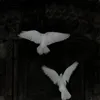 ㅤㅤㅤㅤnoㅤㅤ