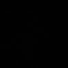 selma_bnt3