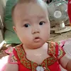 txooj.nus.yaj