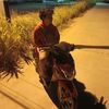 fauzan88_inty_ayam
