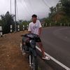 shogunstayle