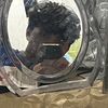 bombzxz