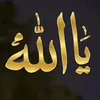 .ali.ali205