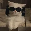 himawaru_qt