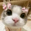 eianahhh