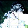 zn1iwg_x