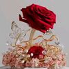 abdus.samad7691