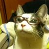 sailordorlagord