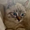 katze1124