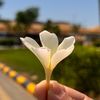 bawa123944