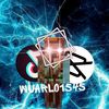 wuarlo0