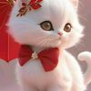 queen_dhayman