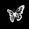 nayy_ma2roowrr
